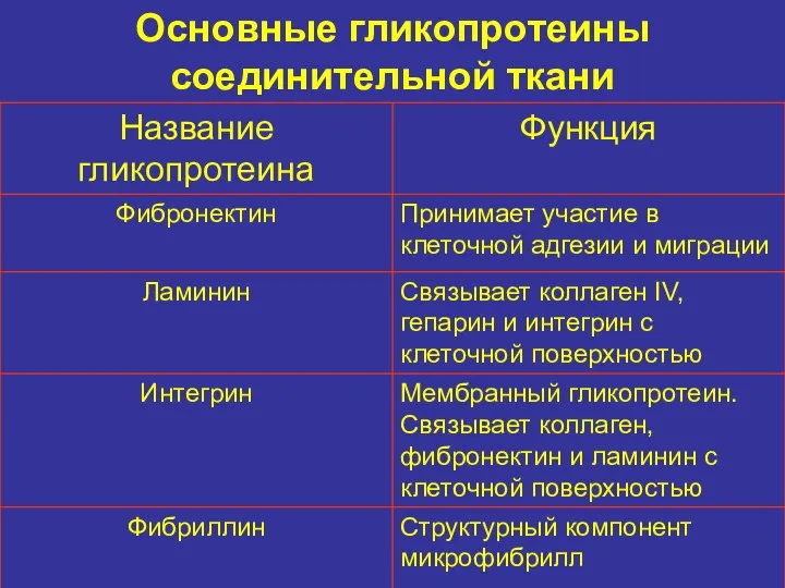 Основные гликопротеины соединительной ткани