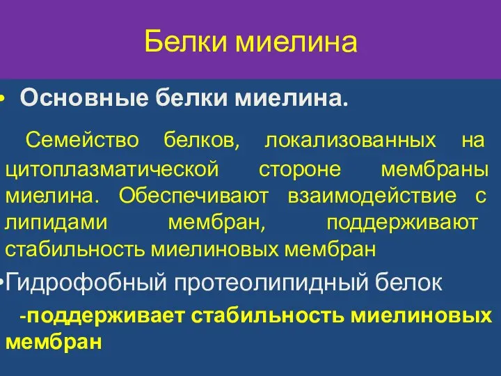 Белки миелина Основные белки миелина. Семейство белков, локализованных на цитоплазматической стороне