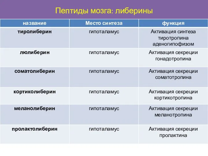 Пептиды мозга: либерины