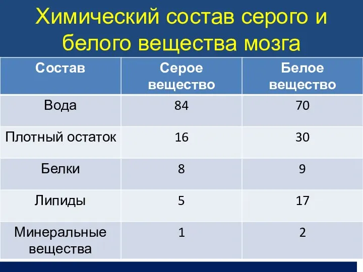 Химический состав серого и белого вещества мозга