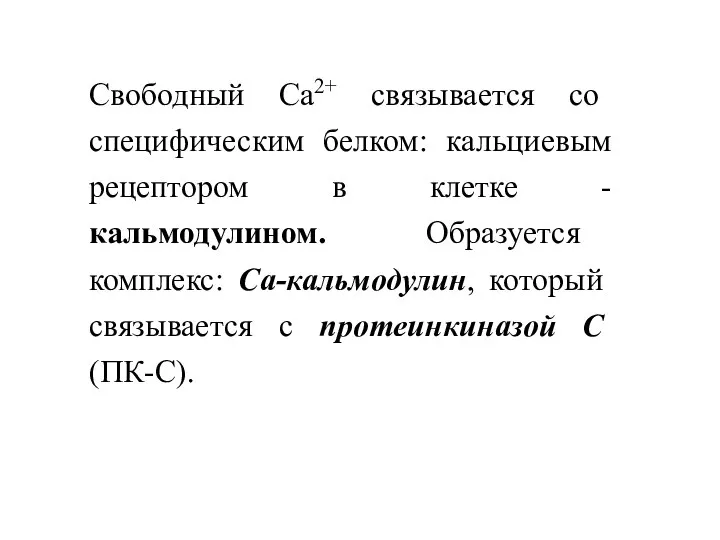 Свободный Са2+ связывается со специфическим белком: кальциевым рецептором в клетке -