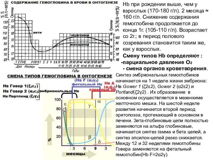 Hb при рождении выше, чем у взрослых (170-180 г/л). 2 месяца