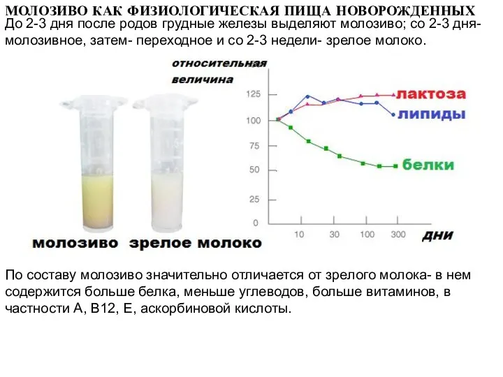 МОЛОЗИВО КАК ФИЗИОЛОГИЧЕСКАЯ ПИЩА НОВОРОЖДЕННЫХ До 2-3 дня после родов грудные