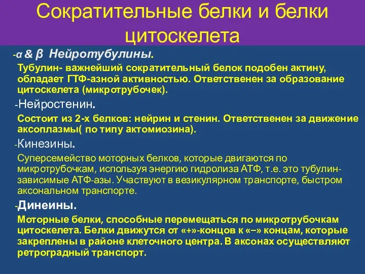 Сократительные белки и белки цитоскелета -α & β Нейротубулины. Тубулин- важнейший