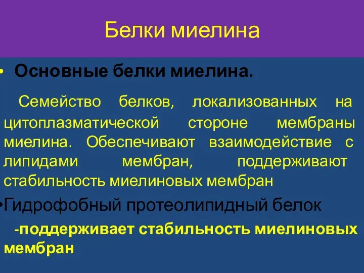 Белки миелина Основные белки миелина. Семейство белков, локализованных на цитоплазматической стороне