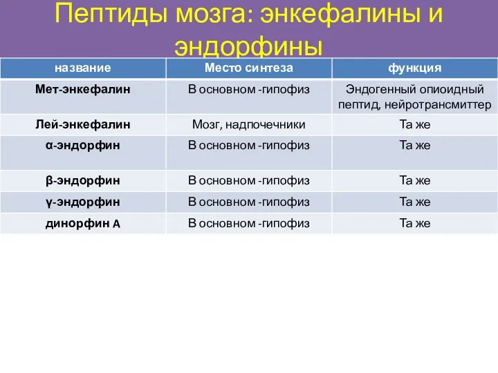 Пептиды мозга: энкефалины и эндорфины