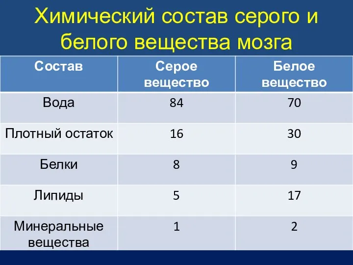 Химический состав серого и белого вещества мозга