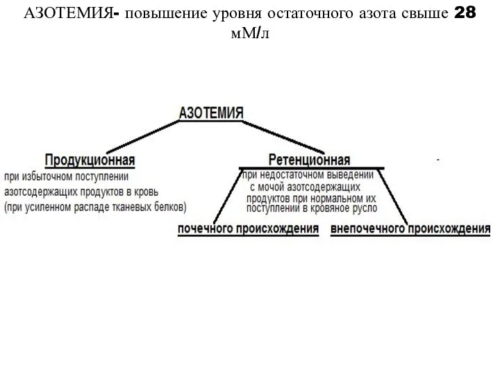 АЗОТЕМИЯ- повышение уровня остаточного азота свыше 28 мМ/л