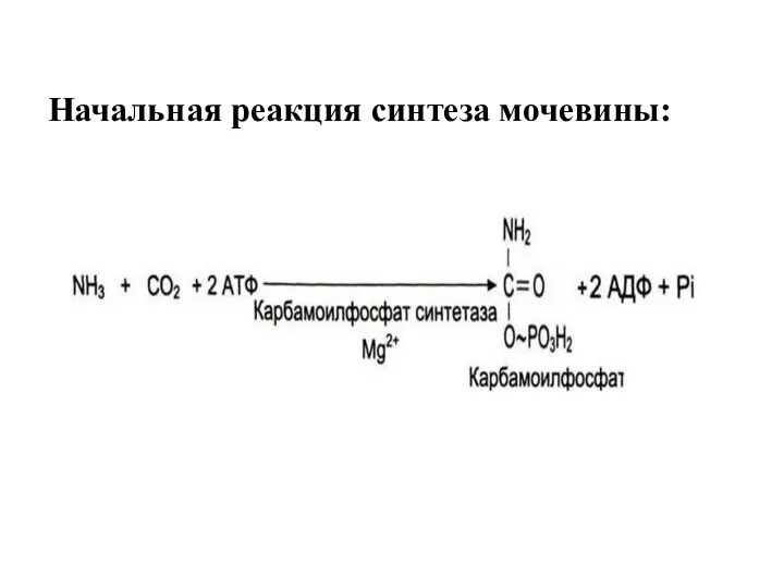 Начальная реакция синтеза мочевины: