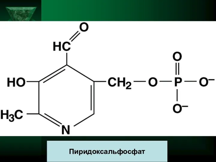 Пиридоксальфосфат