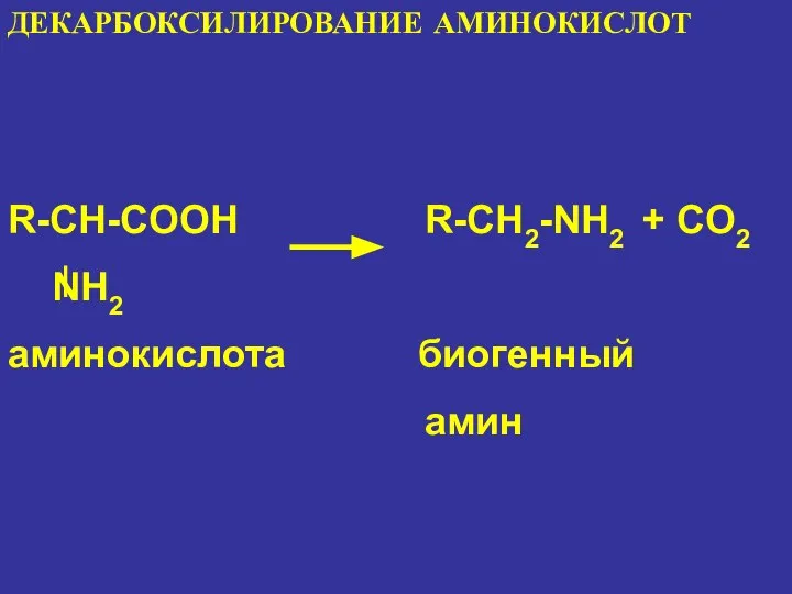 ДЕКАРБОКСИЛИРОВАНИЕ АМИНОКИСЛОТ R-CH-COOH R-CH2-NH2 + CO2 NH2 аминокислота биогенный амин