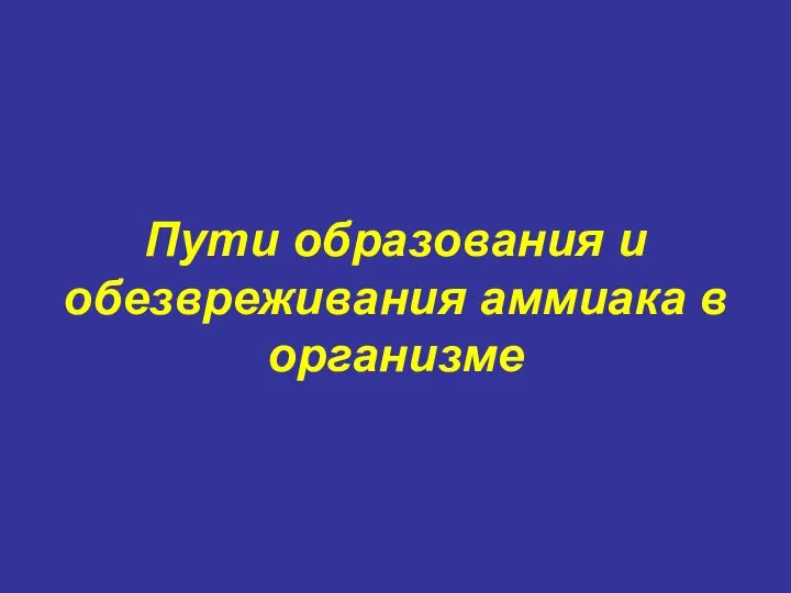 Пути образования и обезвреживания аммиака в организме