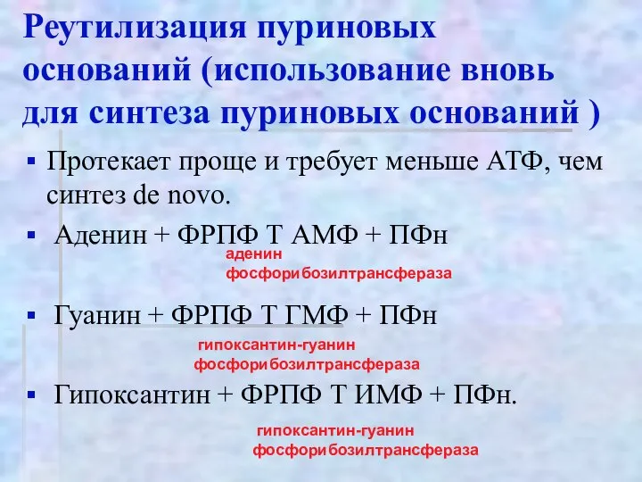 Реутилизация пуриновых оснований (использование вновь для синтеза пуриновых оснований ) Протекает