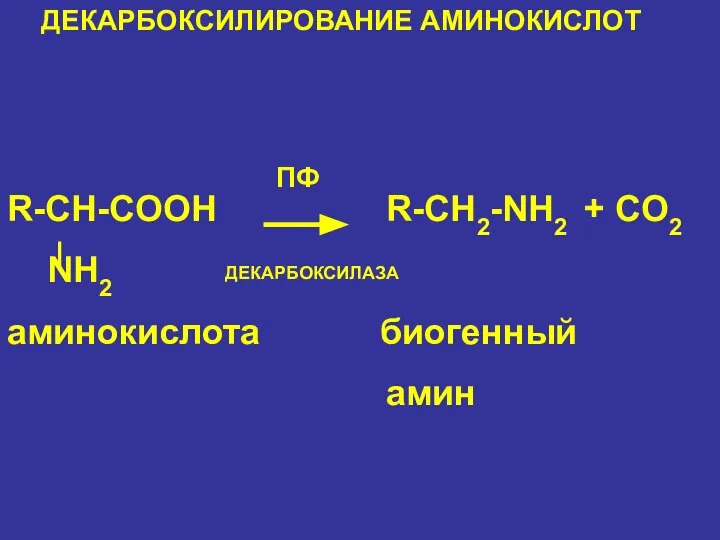 R-CH-COOH R-CH2-NH2 + CO2 NH2 аминокислота биогенный амин ДЕКАРБОКСИЛИРОВАНИЕ АМИНОКИСЛОТ ПФ ДЕКАРБОКСИЛАЗА