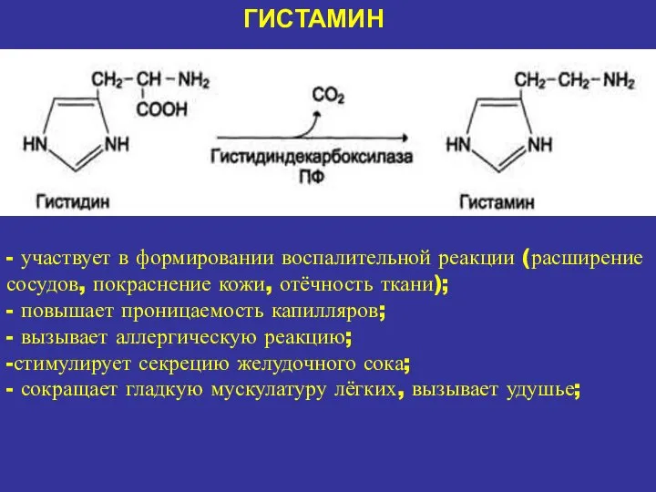 ГИСТАМИН - участвует в формировании воспалительной реакции (расширение сосудов, покраснение кожи,
