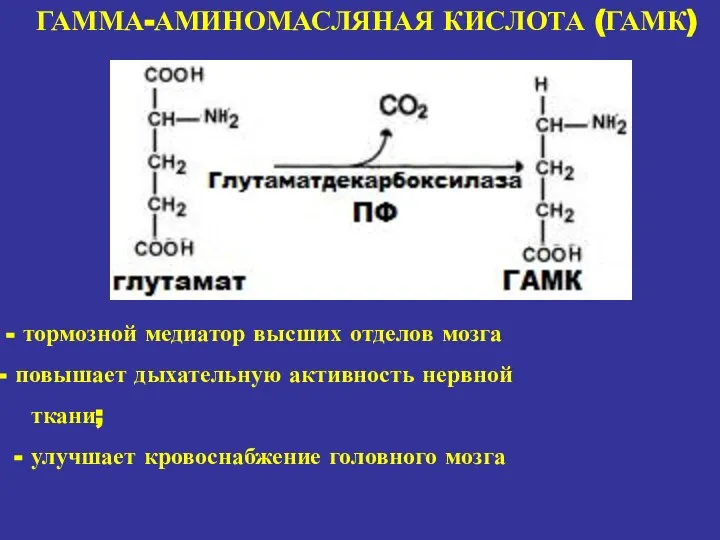 ГАММА-АМИНОМАСЛЯНАЯ КИСЛОТА (ГАМК) - тормозной медиатор высших отделов мозга повышает дыхательную