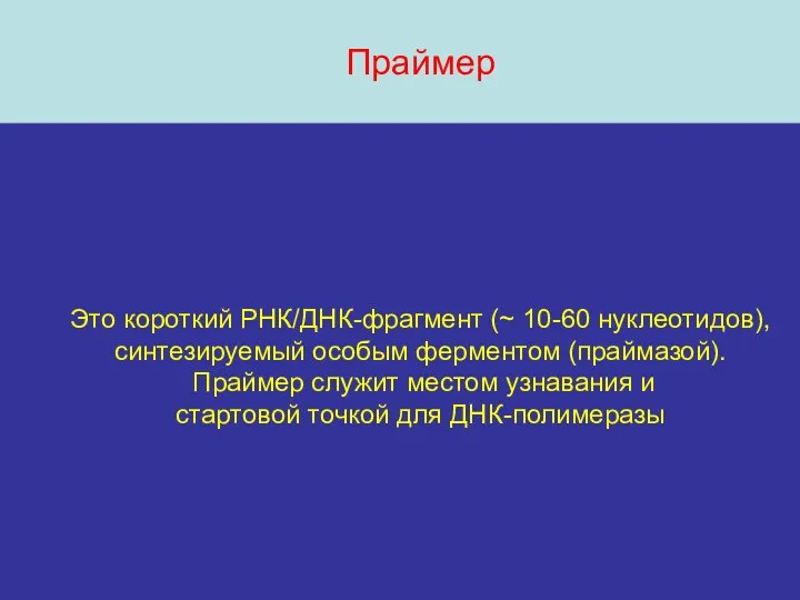 Праймер Это короткий РНК/ДНК-фрагмент (~ 10-60 нуклеотидов), синтезируемый особым ферментом (праймазой).