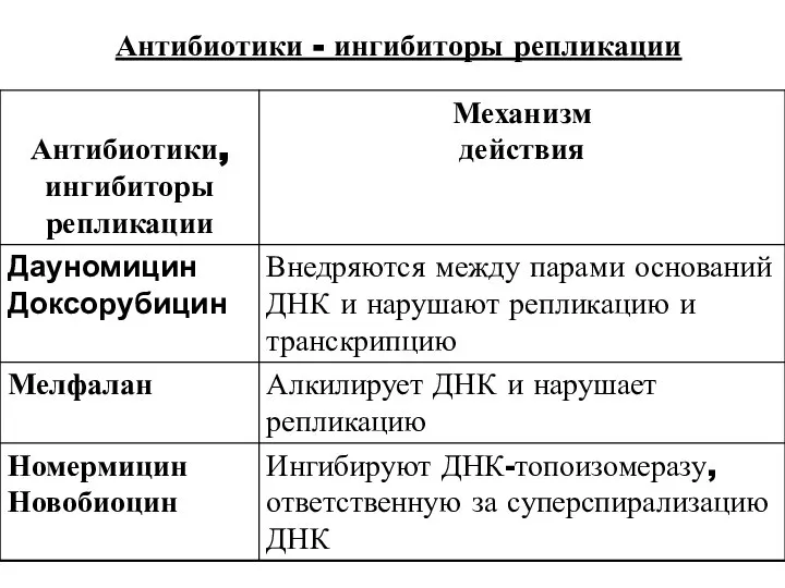 Антибиотики - ингибиторы репликации