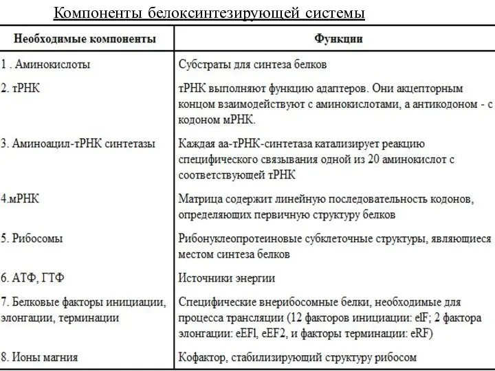 Компоненты белоксинтезирующей системы