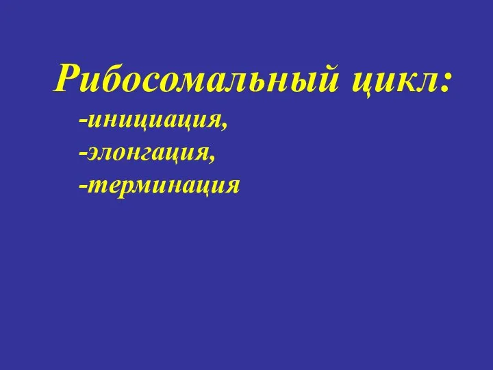 Рибосомальный цикл: -инициация, -элонгация, -терминация