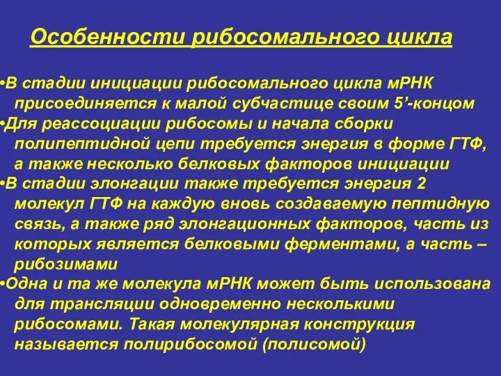 Особенности рибосомального цикла В стадии инициации рибосомального цикла мРНК присоединяется к