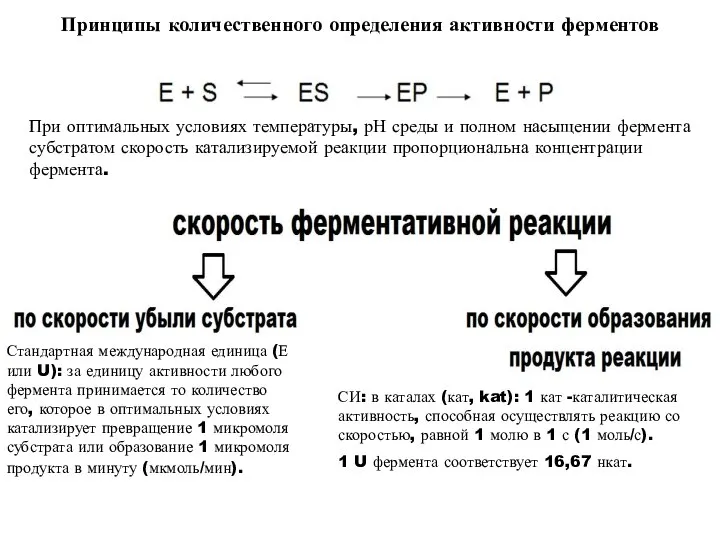 Принципы количественного определения активности ферментов При оптимальных условиях температуры, рН среды