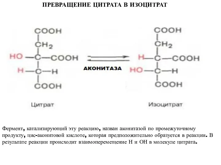 ПРЕВРАЩЕНИЕ ЦИТРАТА В ИЗОЦИТРАТ Фермент, катализирующий эту реакцию, назван аконитазой по