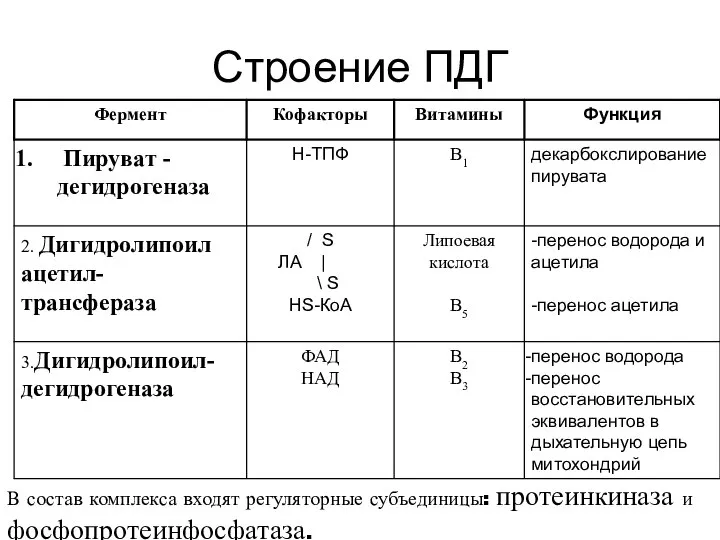 Строение ПДГ В состав комплекса входят регуляторные субъединицы: протеинкиназа и фосфопротеинфосфатаза.