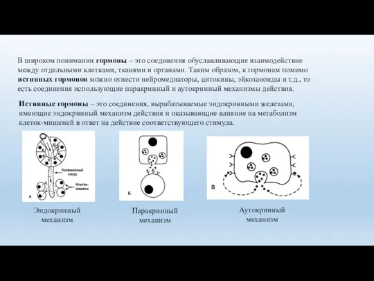 В широком понимании гормоны – это соединения обуславливающие взаимодействие между отдельными