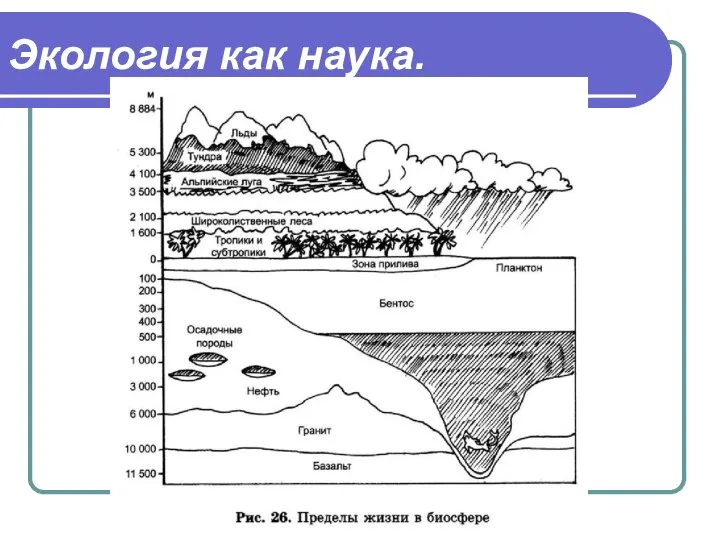 Экология как наука.