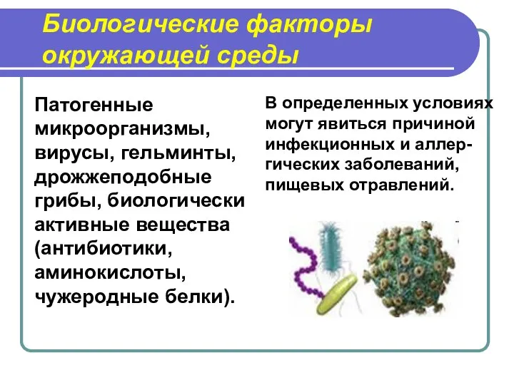 Биологические факторы окружающей среды Патогенные микроорганизмы, вирусы, гельминты, дрожжеподобные грибы, биологически