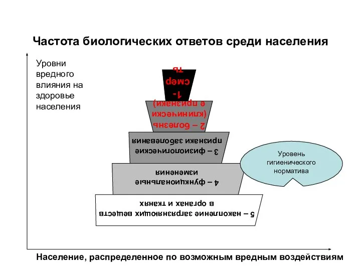 Частота биологических ответов среди населения Уровни вредного влияния на здоровье населения