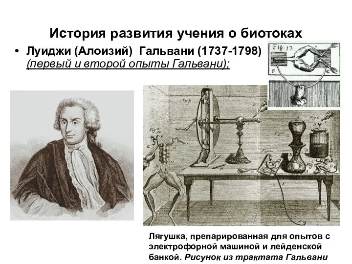 История развития учения о биотоках Луиджи (Алоизий) Гальвани (1737-1798) (первый и