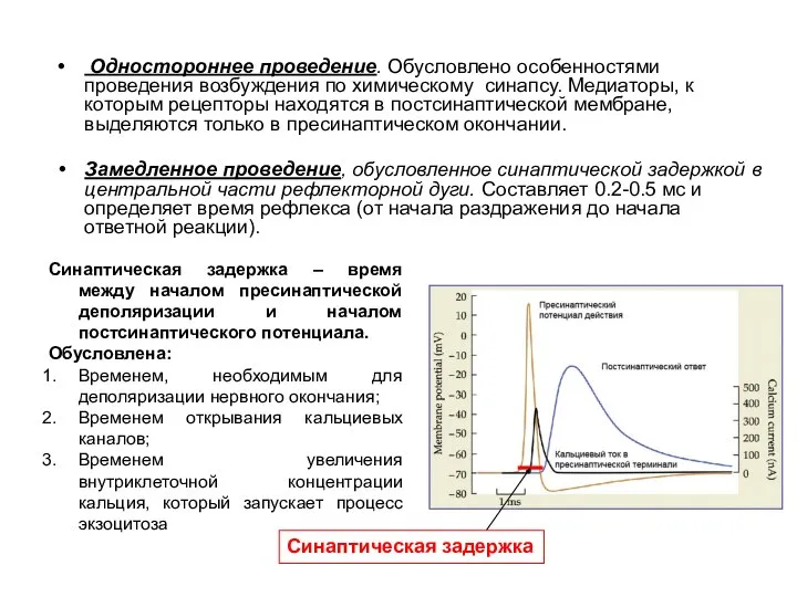 Одностороннее проведение. Обусловлено особенностями проведения возбуждения по химическому синапсу. Медиаторы, к