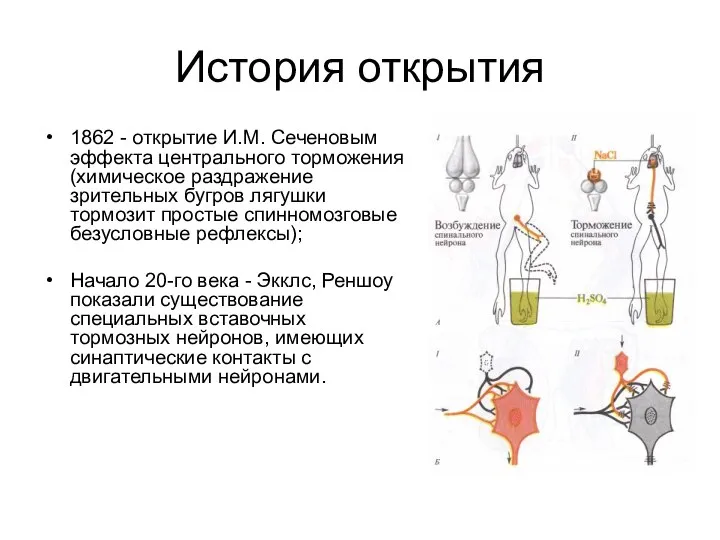 История открытия 1862 - открытие И.М. Сеченовым эффекта центрального торможения (химическое