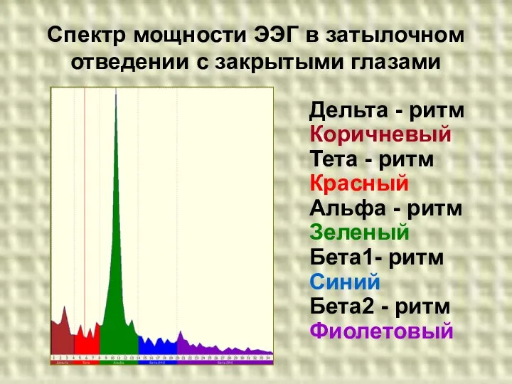 Спектр мощности ЭЭГ в затылочном отведении с закрытыми глазами Дельта -