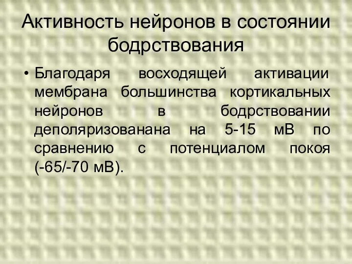 Активность нейронов в состоянии бодрствования Благодаря восходящей активации мембрана большинства кортикальных