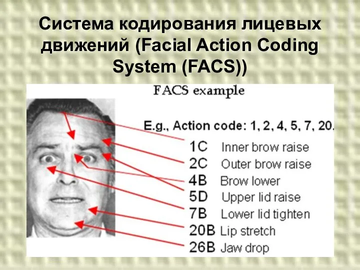 Система кодирования лицевых движений (Facial Action Coding System (FACS))