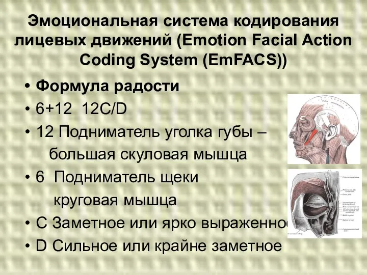 Эмоциональная система кодирования лицевых движений (Emotion Facial Action Coding System (EmFACS))