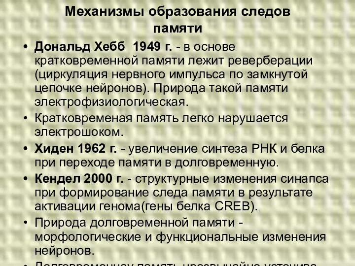 Механизмы образования следов памяти Дональд Хебб 1949 г. - в основе