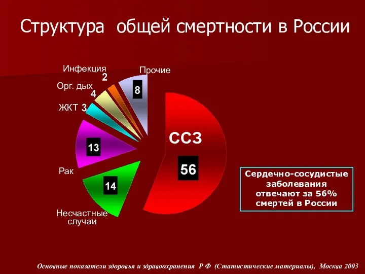 Структура общей смертности в России Несчастные случаи Рак ЖКТ Инфекция Прочие