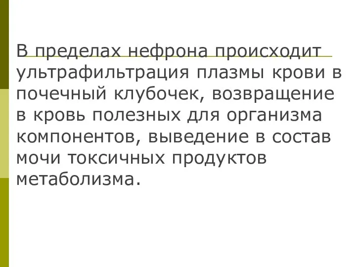 В пределах нефрона происходит ультрафильтрация плазмы крови в почечный клубочек, возвращение