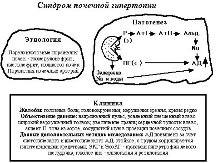 Отличия отеков почечного и сердечного происхождения