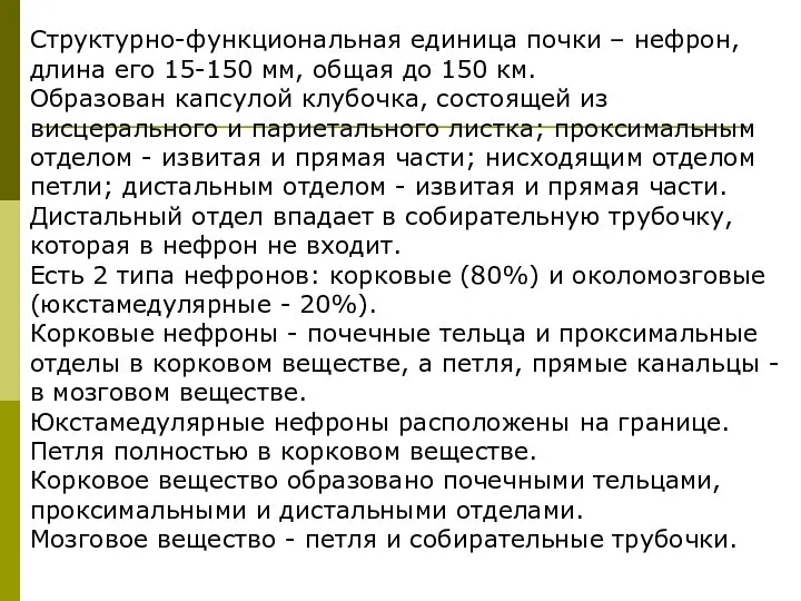 Структурно-функциональная единица почки – нефрон, длина его 15-150 мм, общая до