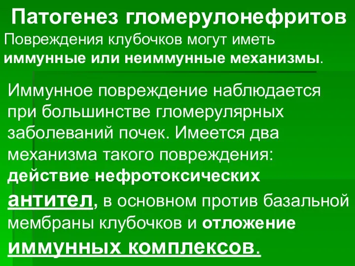 Патогенез гломерулонефритов Повреждения клубочков могут иметь иммунные или неиммунные механизмы. Иммунное