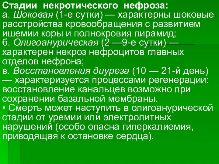 Стадии некротического нефроза: а. Шоковая (1-е сутки) — характерны шоковые расстройства