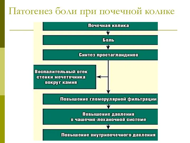 Патогенез боли при почечной колике