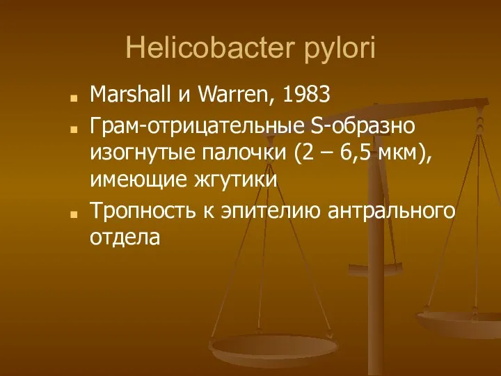 Helicobacter pylori Marshall и Warren, 1983 Грам-отрицательные S-образно изогнутые палочки (2