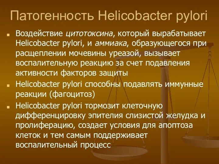 Патогенность Helicobacter pylori Воздействие цитотоксина, который вырабатывает Helicobacter pylori, и аммиака,