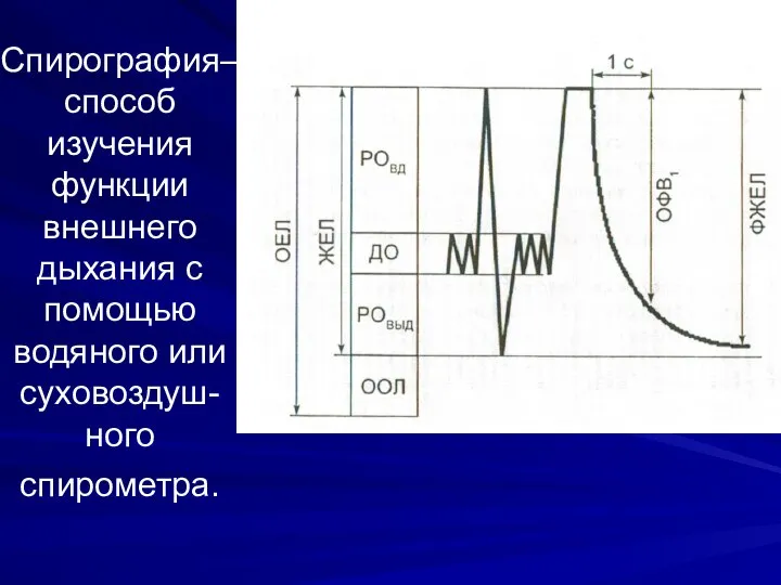 Спирография– способ изучения функции внешнего дыхания с помощью водяного или суховоздуш-ного спирометра.